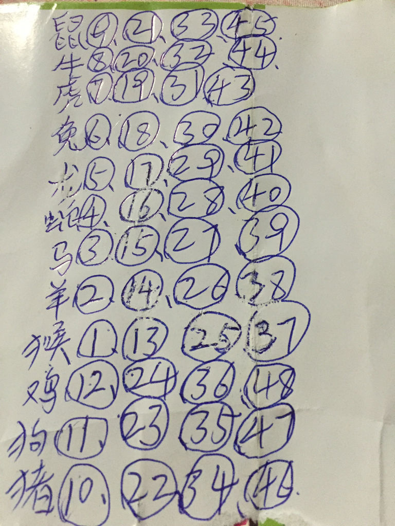 沉默的海 第204页