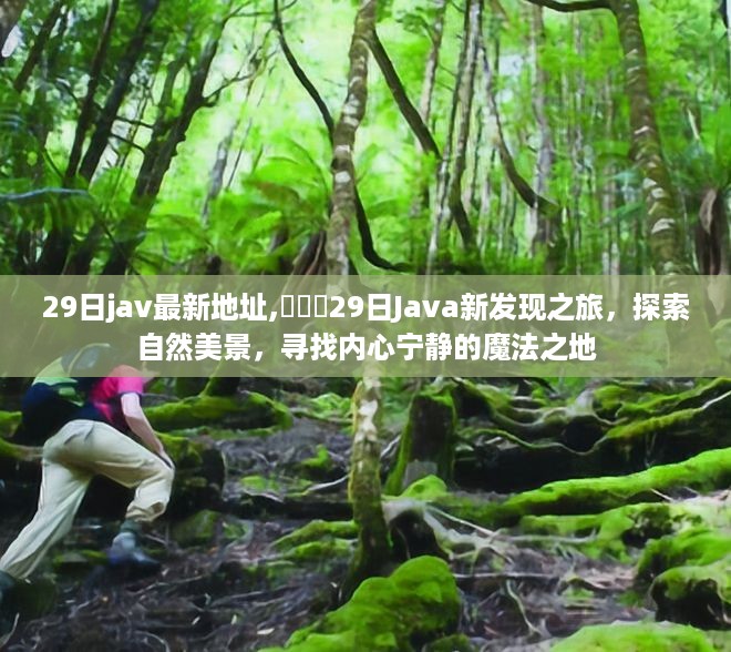 自然美景探索 第3页