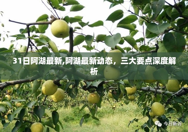 浅笑轻吟梦一曲 第45页