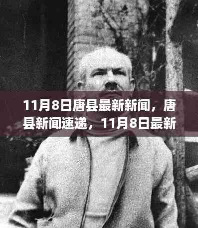 11月8日唐县新闻速递,全面解读最新资讯