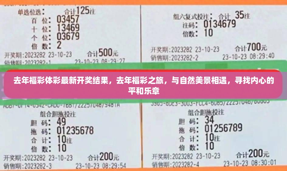 容光焕发 第17页