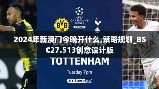 2024年新澳门今晚开什么,策略规划_BSC27.513创意设计版