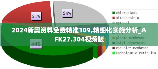 2024新奥资料免费精准109,精细化实施分析_AFK27.304视频版