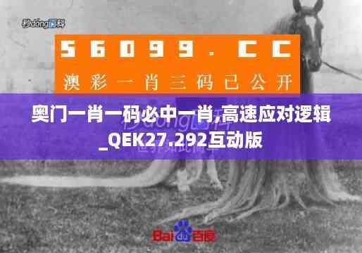 奥门一肖一码必中一肖,高速应对逻辑_QEK27.292互动版