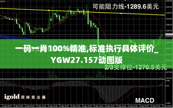 一码一肖100%精准,标准执行具体评价_YGW27.157动图版