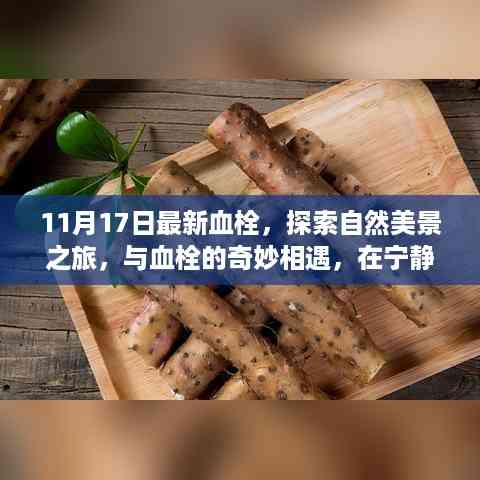 自然美景之旅,探寻血栓的奇妙奥秘,宁静之旅中的内心平和体验