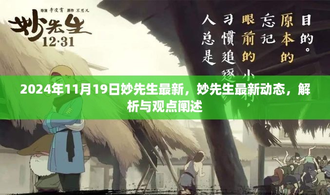 妙先生最新动态解析与观点阐述(2024年11月19日)
