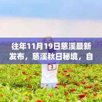 慈溪秋日秘境,自然之旅启程,探寻心灵净土的最新发布