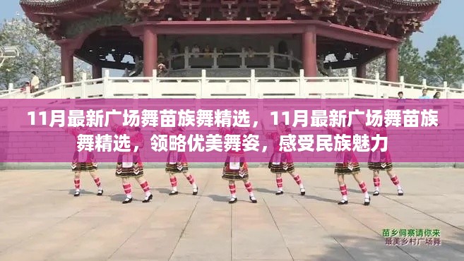 11月最新广场舞苗族舞精选,领略民族魅力,感受优美舞姿