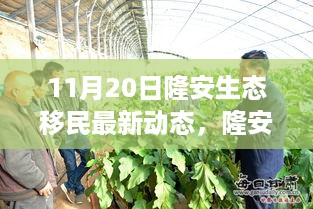 浅笑轻吟梦一曲 第14页