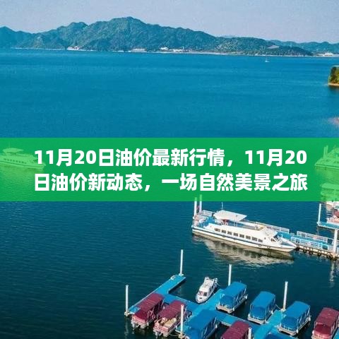 fanzhangjishu 第8页