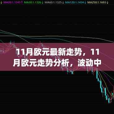11月欧元走势波动中的机遇与挑战,最新分析与预测