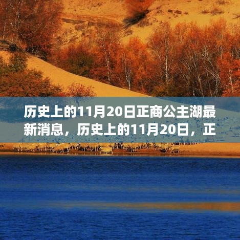 jinshiweikai 第10页