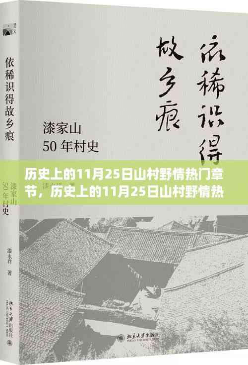 历史上的11月25日山村野情热门章节全解析,从入门到精通的探秘攻略