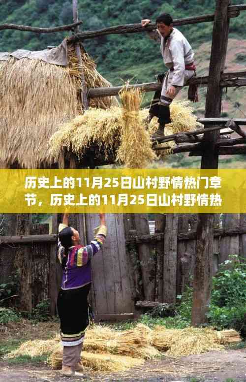 历史上的11月25日山村野情热门章节全解析,从入门到精通的探秘攻略