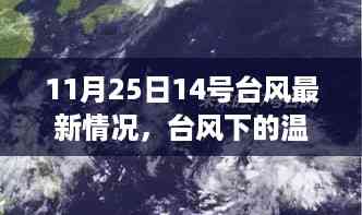 台风下的温馨日常,共渡风雨时光——11月25日14号台风最新情报