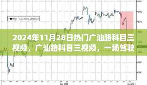 广汕路科目三视觉盛宴,驾驶技能实战展示,热门视频来袭!