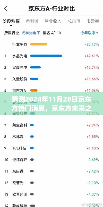 奇迹见证日,2024年11月28日京东方未来之光闪耀,学习变化与自信展现