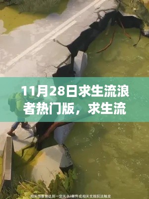 探寻求生流浪者热门版背后的故事与挑战,揭秘11月28日的求生之旅
