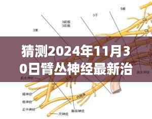 揭秘未来疗法,臂丛神经治疗新突破预测与抢先猜测,展望2024年最新治疗方法