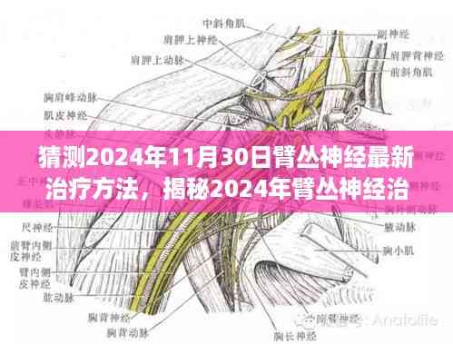 揭秘未来疗法,臂丛神经治疗新突破预测与抢先猜测,展望2024年最新治疗方法