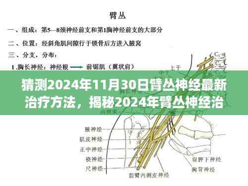 揭秘未来疗法,臂丛神经治疗新突破预测与抢先猜测,展望2024年最新治疗方法