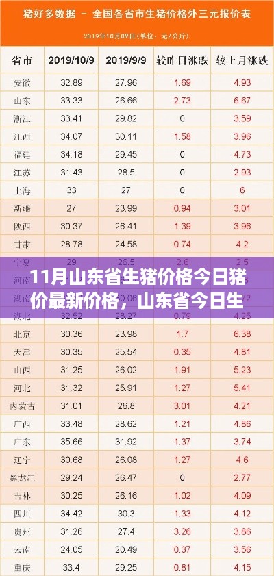 山东省最新生猪价格走势分析与最新猪价概览