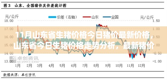 山东省最新生猪价格走势分析与最新猪价概览
