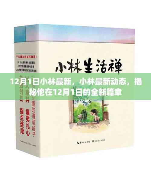小林揭秘,最新动态与12月1日的全新篇章开启