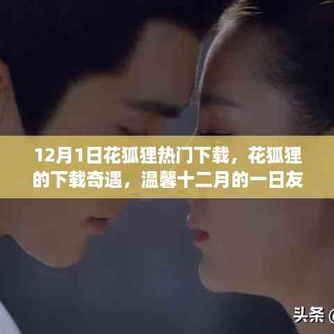 花狐狸下载奇遇与温馨十二月友情行