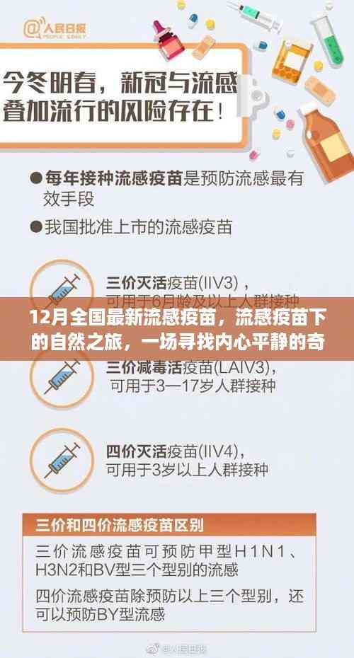 流感疫苗下的心灵之旅,探寻内心平静的奇妙冒险