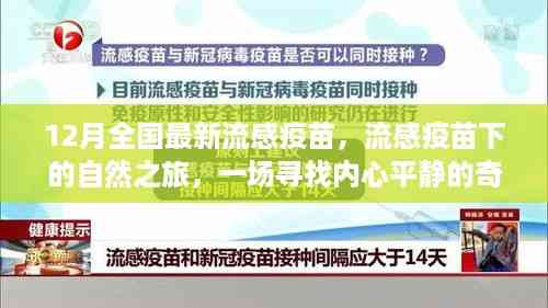 流感疫苗下的心灵之旅,探寻内心平静的奇妙冒险