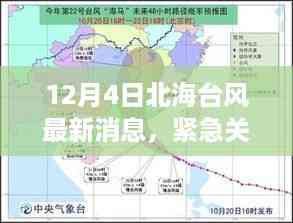 dangranwucun 第7页