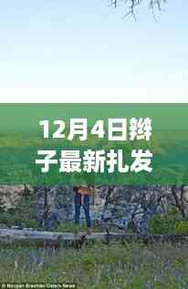 12月4日辫子新扎法,启程自然美景之旅,探寻内心宁静与平和
