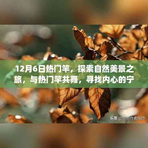 探索自然美景之旅,与热门竿共舞,寻找内心的宁静与平和(12月6日热门竿体验)