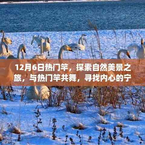探索自然美景之旅,与热门竿共舞,寻找内心的宁静与平和(12月6日热门竿体验)