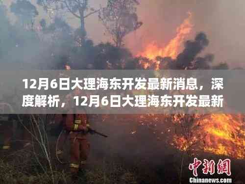 12月6日大理海东开发最新动态深度解析
