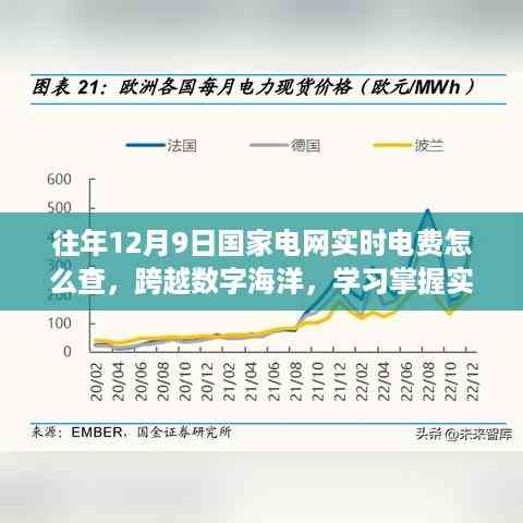 实时电费查询技巧，掌握国家电网查询方法，开启自信生活新篇章