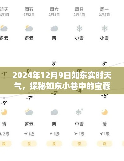 探秘如东小巷宝藏，2024年12月9日如东实时天气体验报告