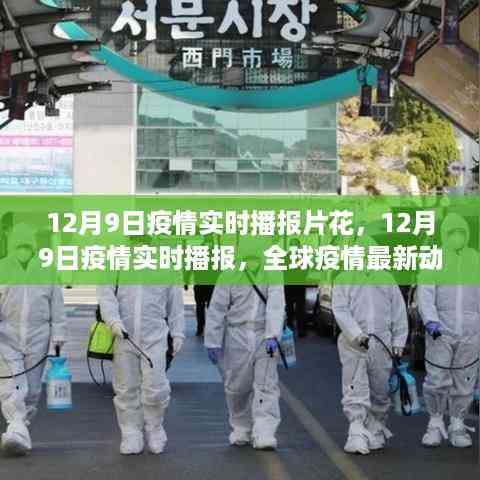 12月9日全球疫情实时播报,最新动态分析与播报片花