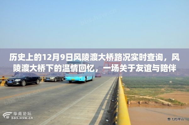 星星打烊 第8页