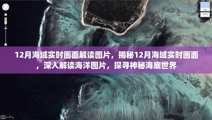 揭秘海底秘境,12月海域实时画面深度解读与探寻海底世界图片揭秘