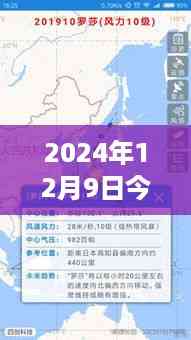 昆明秘境探秘,路况实时查询与心灵之旅的融合体验(XXXX年XX月XX日路况更新)