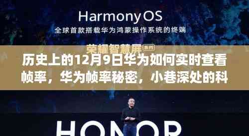 历史上的十二月九日揭秘华为帧率秘密,实时查看科技之眼的小巷故事