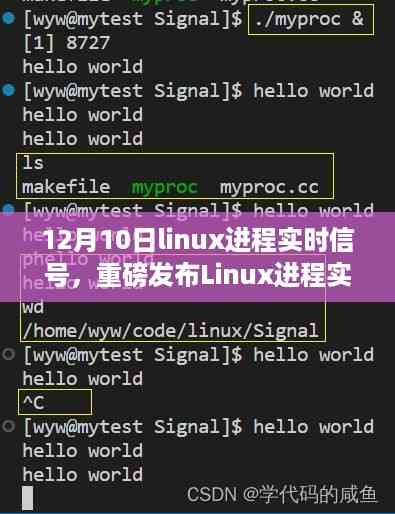 重磅发布,Linux进程实时信号监控利器,引领智能生活新纪元