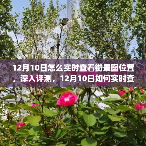 feiqinzoushou 第5页