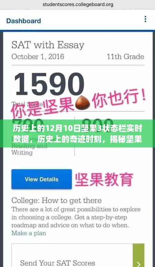 揭秘,历史上的奇迹时刻——坚果3状态栏实时数据背后的故事