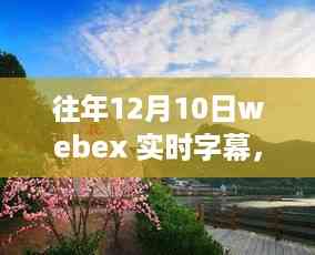 Webex实时字幕助您探索自然美景,寻找内心的宁静与喜悦之旅