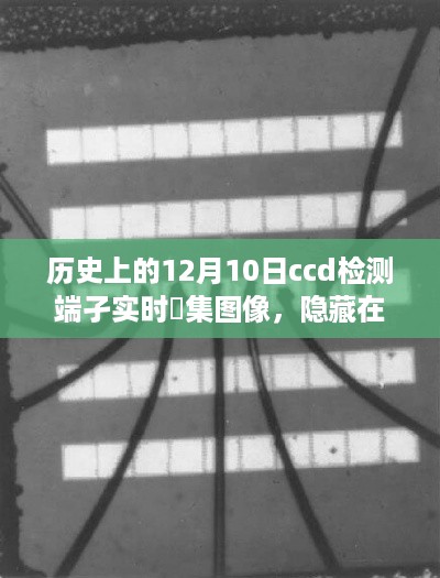 daguanxiangui 第5页