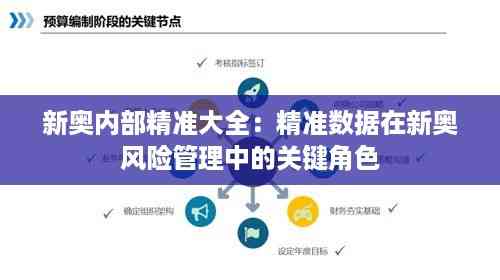 新奥内部精准大全:精准数据在新奥风险管理中的关键角色